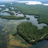 Weedon Island Preserve